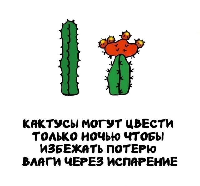 А вдруг ты не знал…