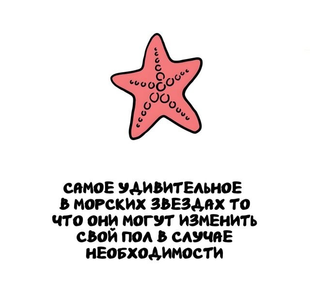А вдруг ты не знал…