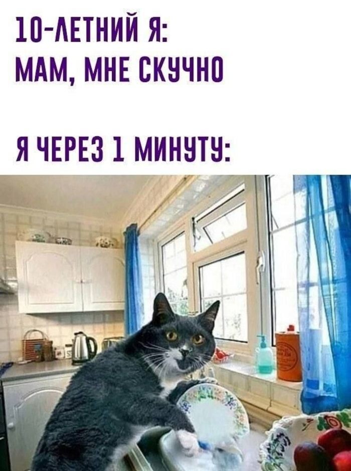 Не ищите здесь смысл. Здесь в основном маразм