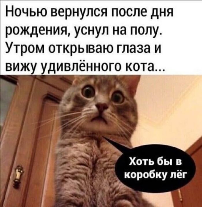 Не ищите здесь смысл. Здесь в основном маразм