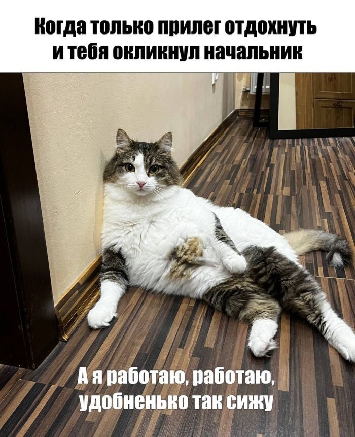 Не ищите здесь смысл. Здесь в основном маразм