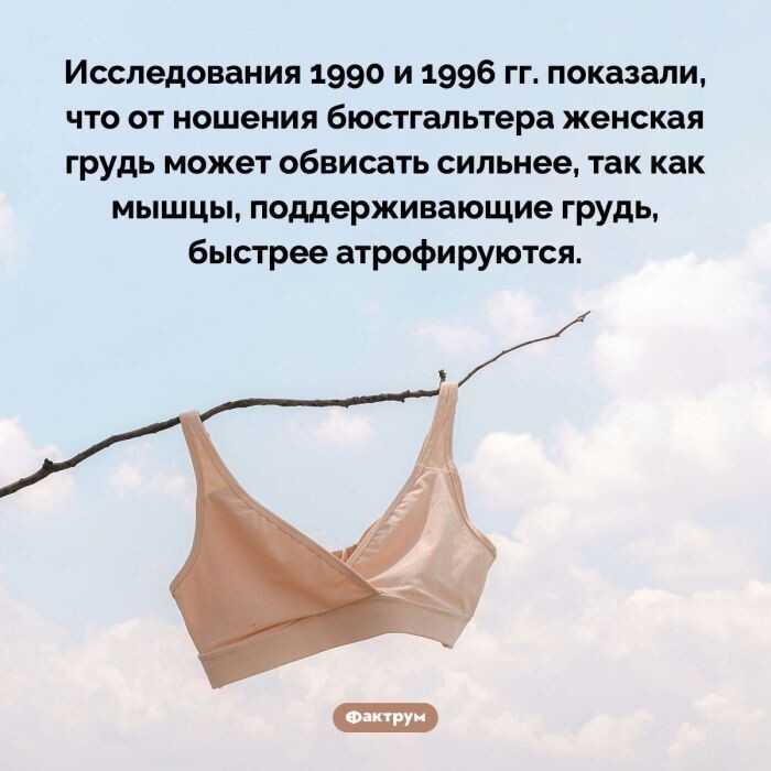 Не ищите здесь смысл. Здесь в основном маразм