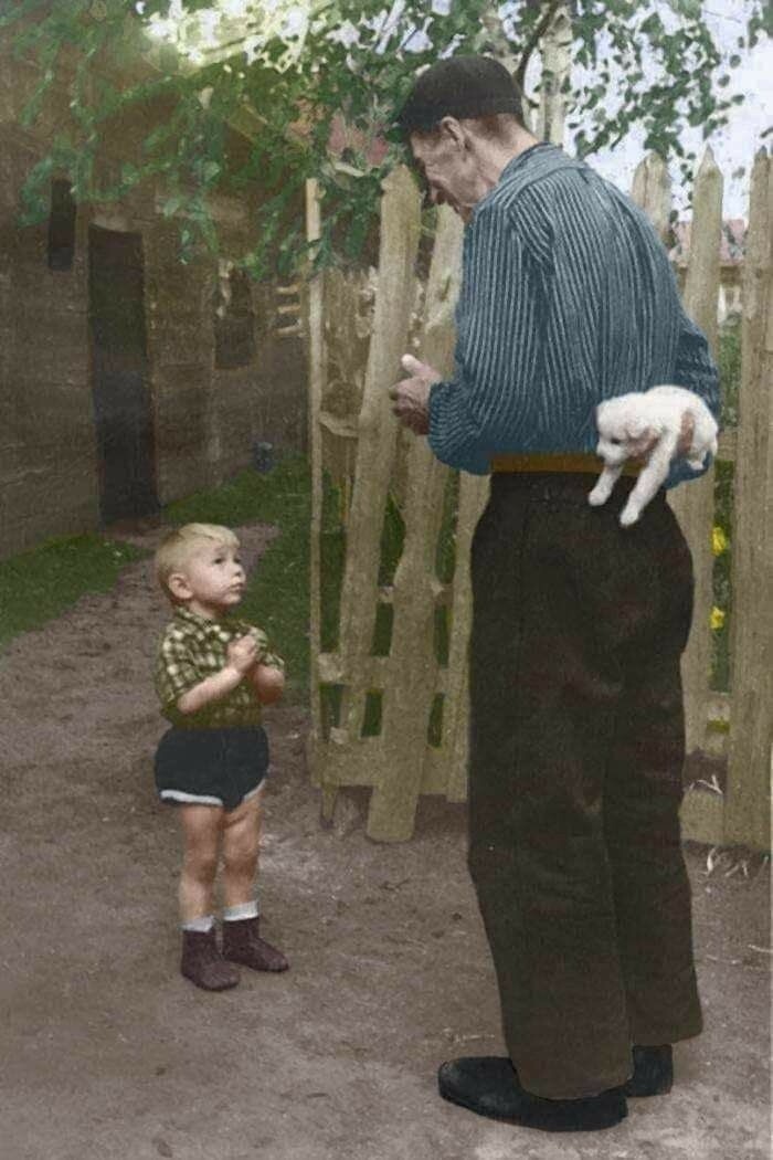 Всё вразнобой 