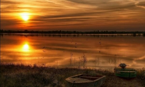 Продолжаем барражировать соцсети