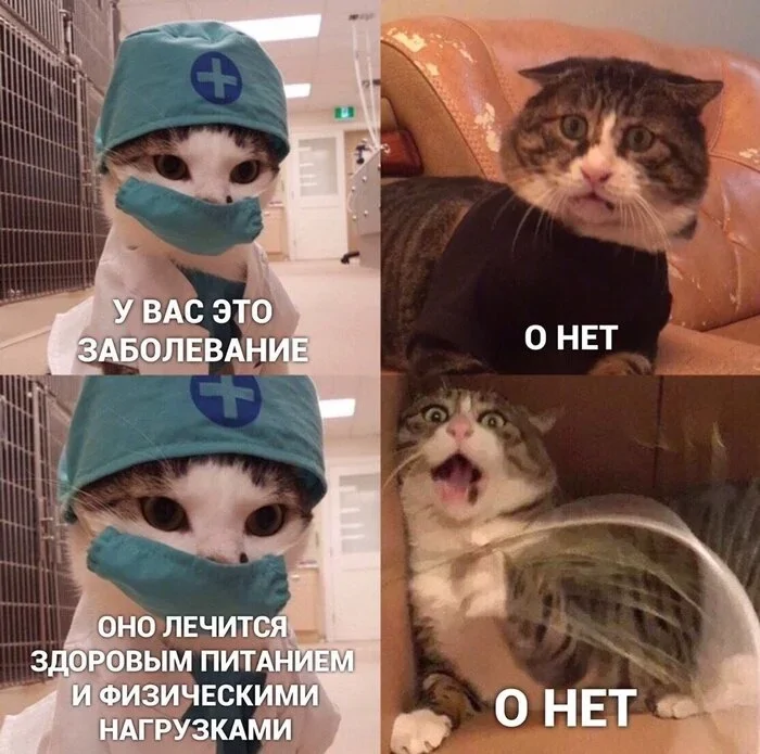 Продолжаем барражировать соцсети