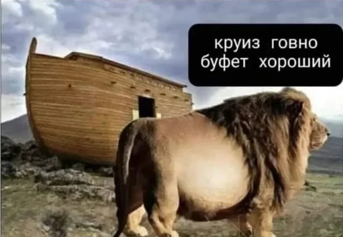 Продолжаем барражировать соцсети