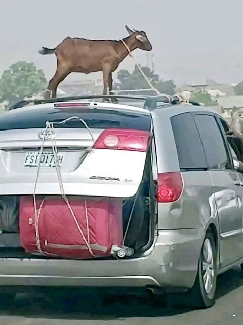 АвтоВсячина