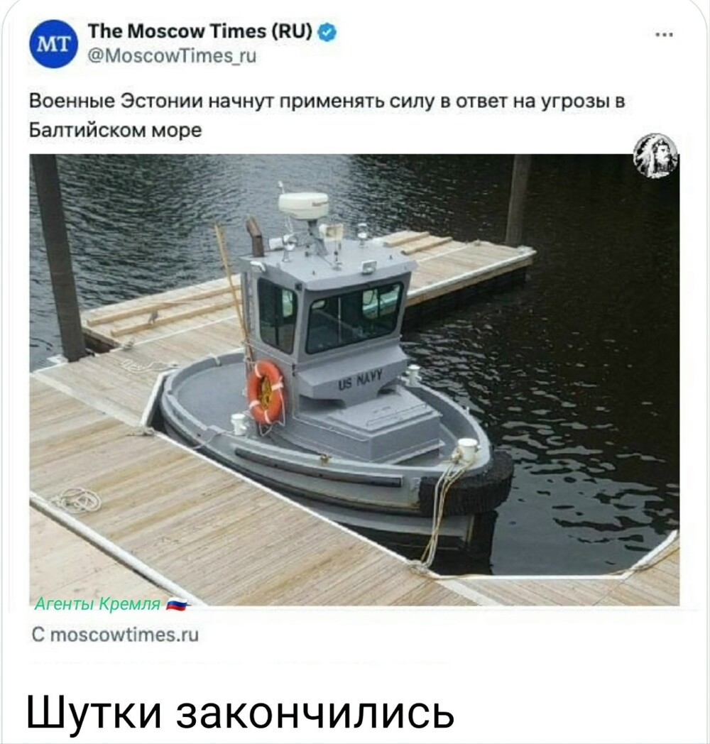 Оба-на! Одноклеточный кораблик из "морского боя"! Он существует!