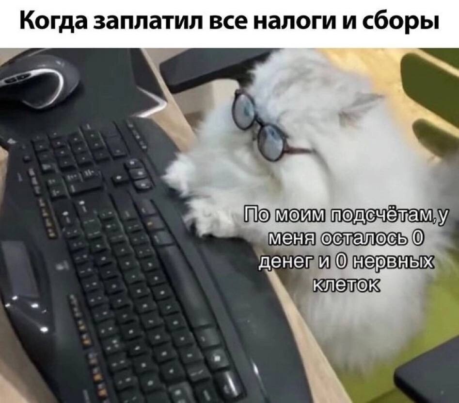 Новые правила от ФНС: взыскание долгов без суда с 1 ноября 2025 года