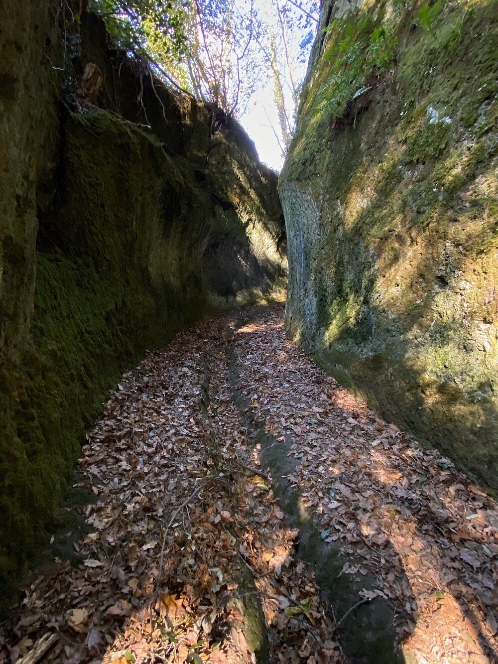 Тайна тосканских дорог, прорезанных в камне
