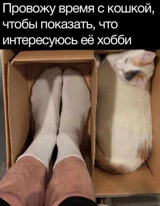 Скрины из соцсетей