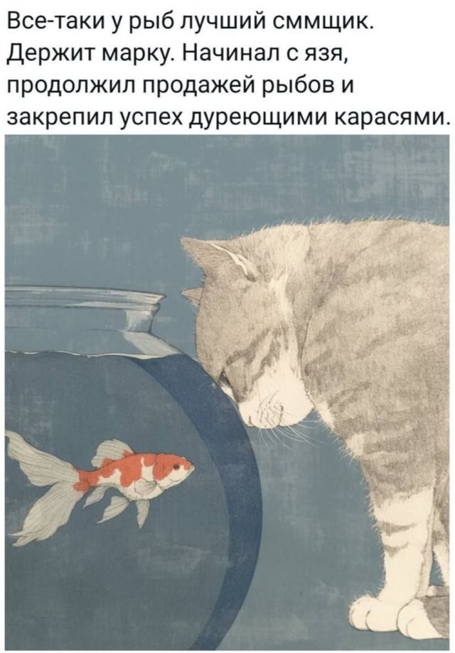 Скрины из соцсетей