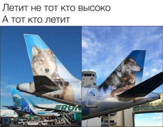 Скрины из соцсетей