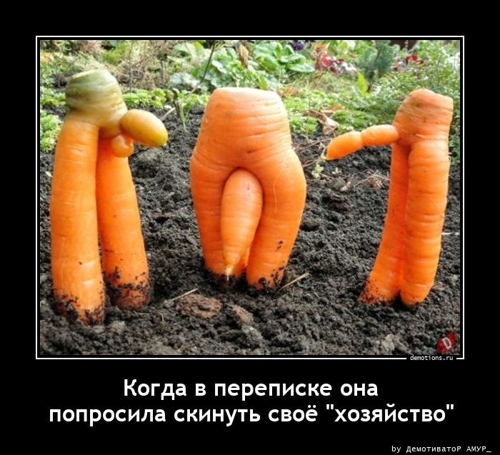 Когда в переписке она попросила скинуть своё "хозяйство"