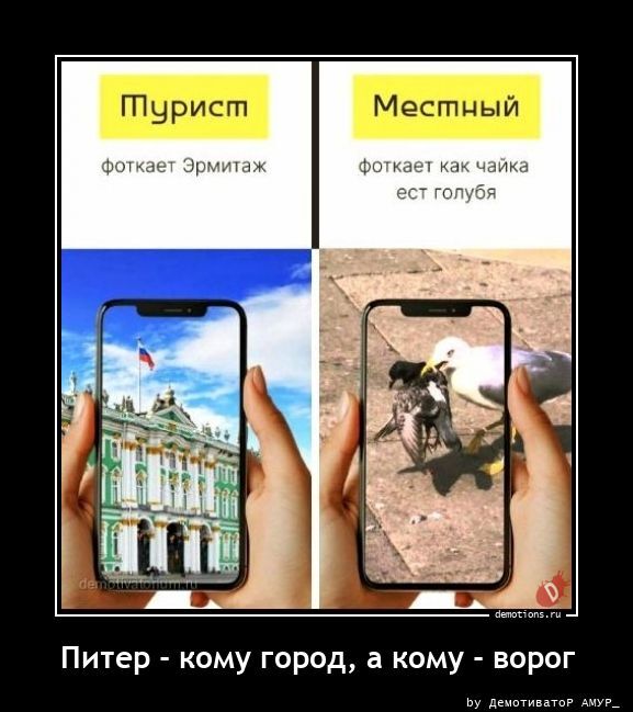 Питер - кому город, а кому - ворог