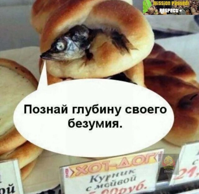 35 приколов