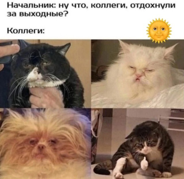 35 приколов