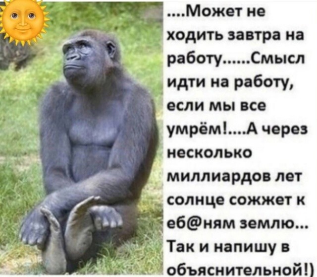35 приколов