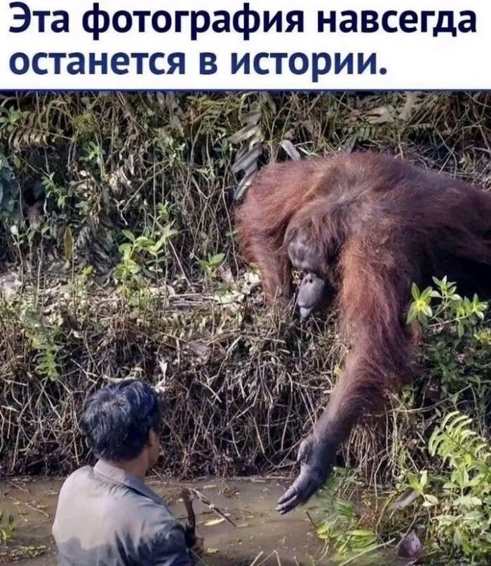 Не ищите здесь смысл. Здесь в основном маразм