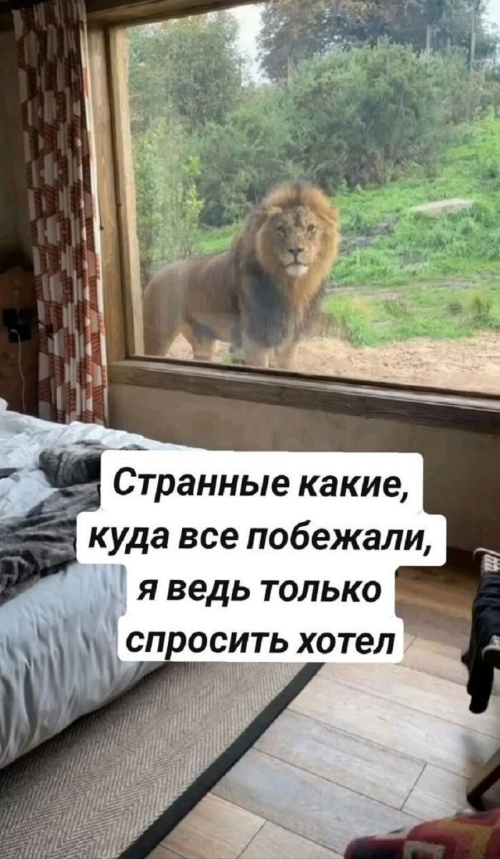 Не ищите здесь смысл. Здесь в основном маразм