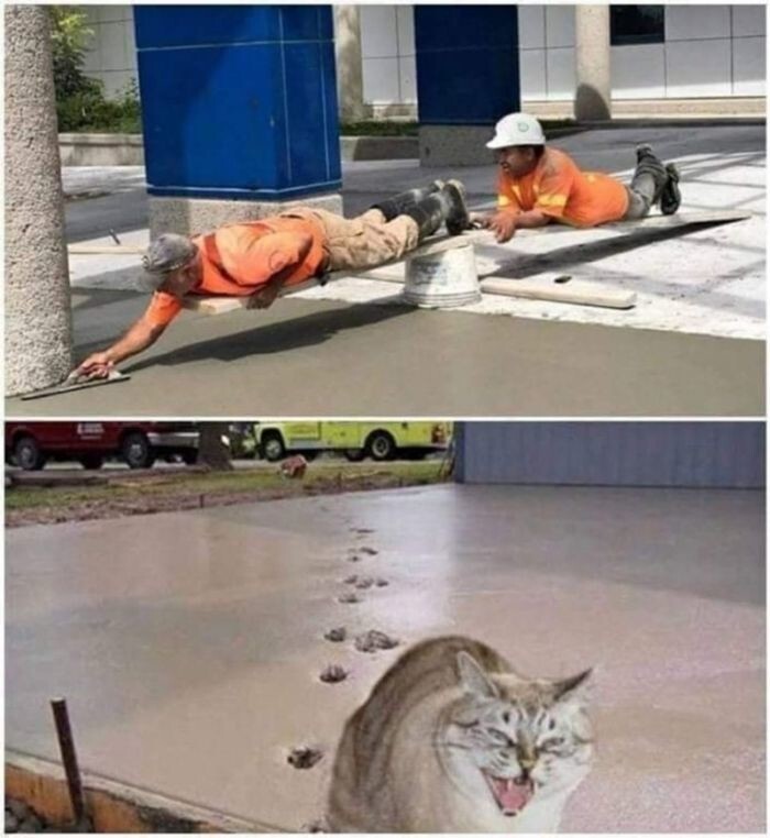 Не ищите здесь смысл. Здесь в основном маразм