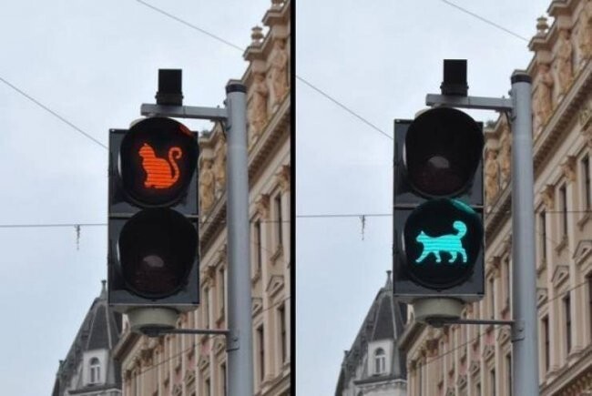 Всё вразнобой 