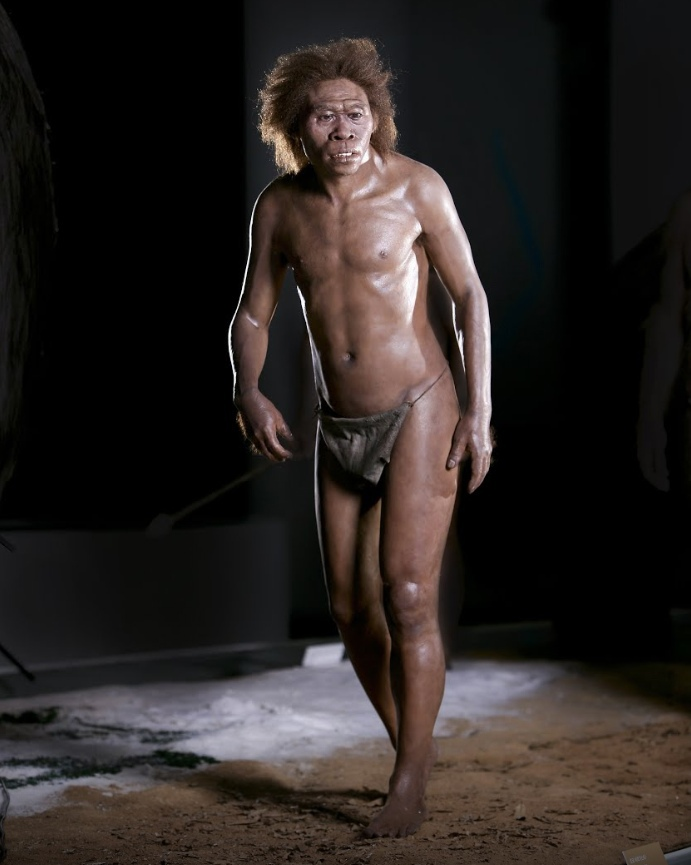 Человек работающий, Homo ergaster "Мальчик из Турканы"