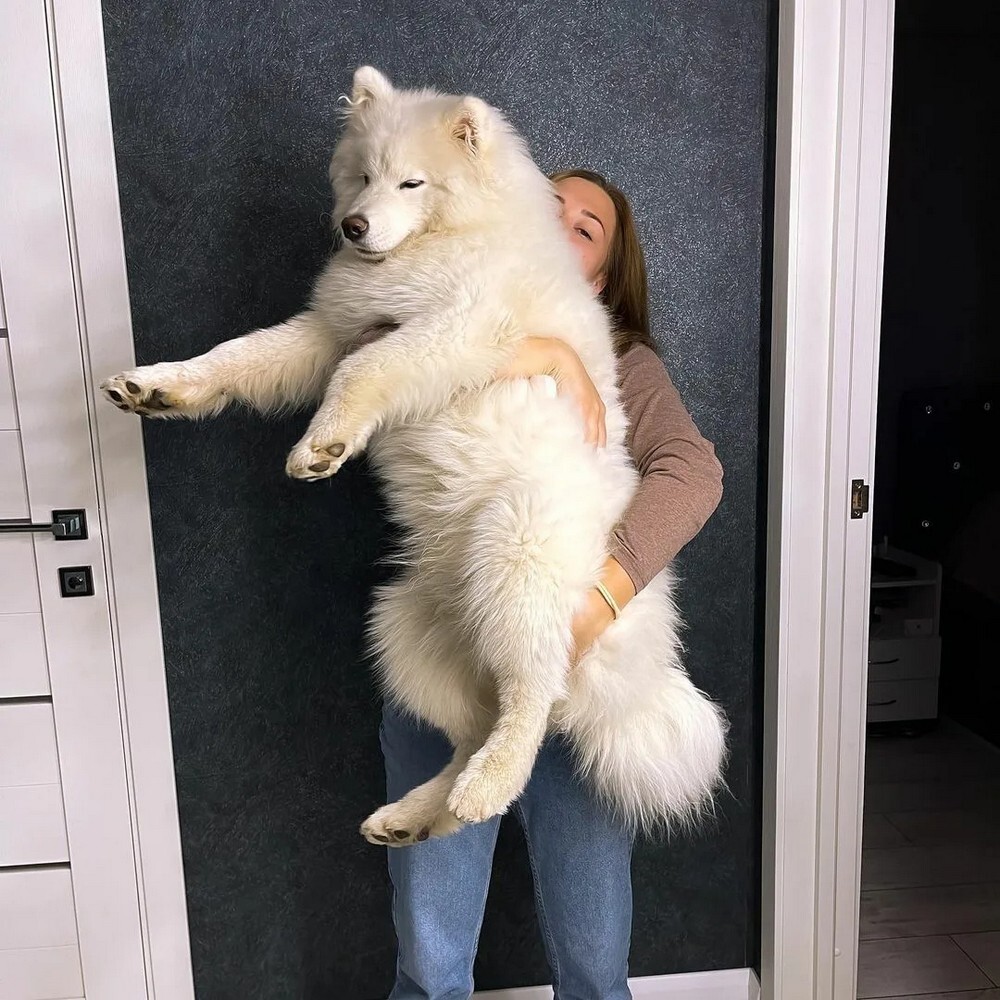 На общую тему 