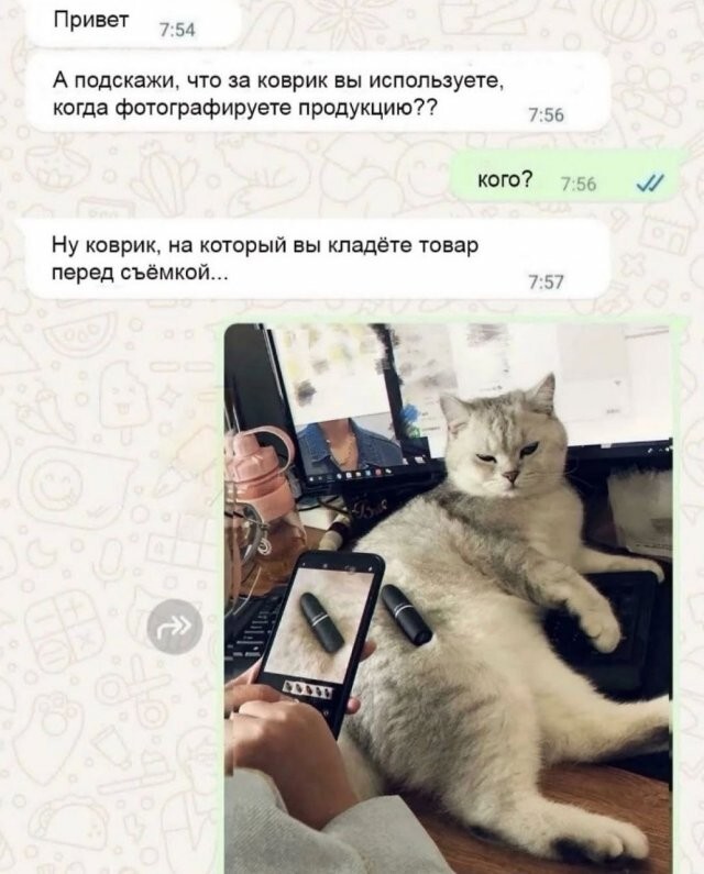 Скрины из соцсетей