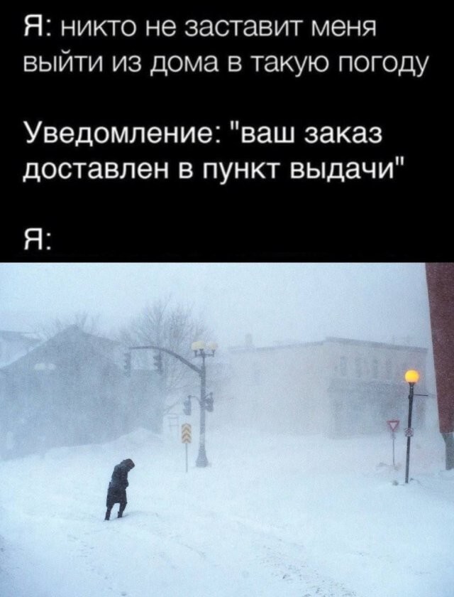 Скрины из соцсетей