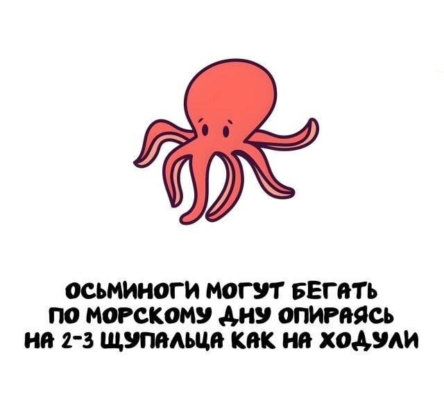 А вдруг ты не знал…