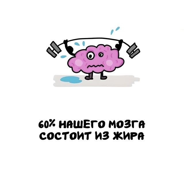 А вдруг ты не знал…