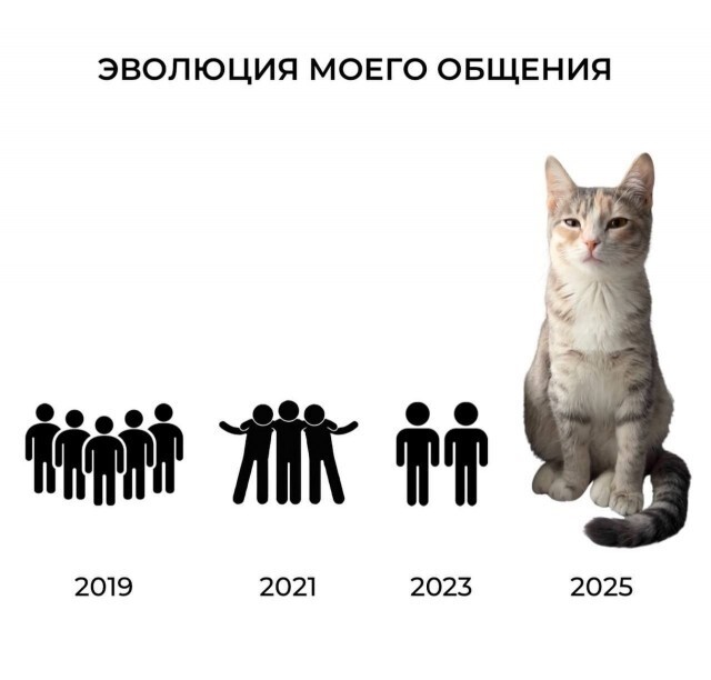 Не ищите здесь смысл. Здесь в основном маразм