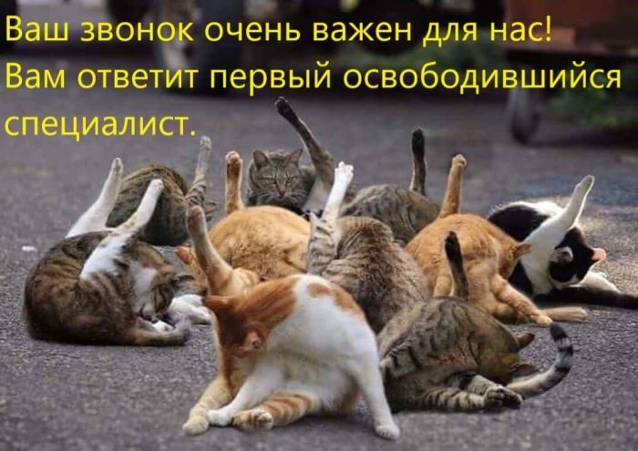 Не ищите здесь смысл. Здесь в основном маразм