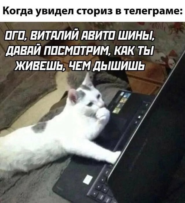 Скрины из соцсетей