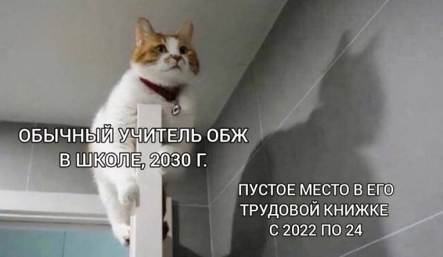 Скрины из соцсетей