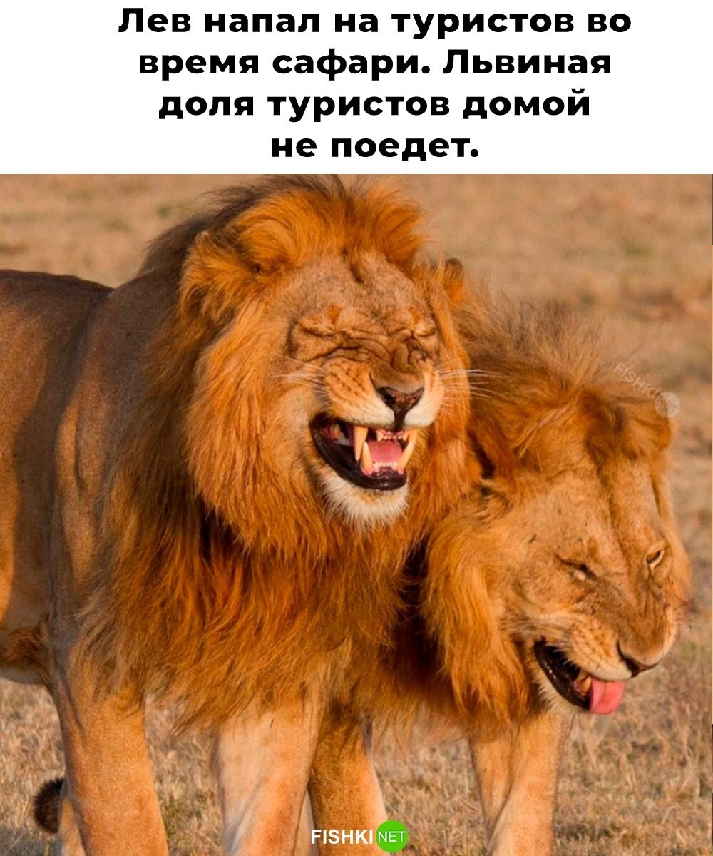 Скрины из соцсетей