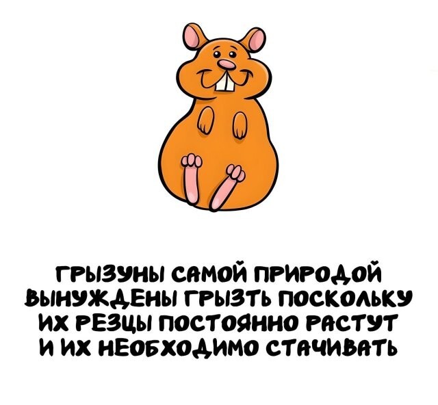 А вдруг ты не знал…
