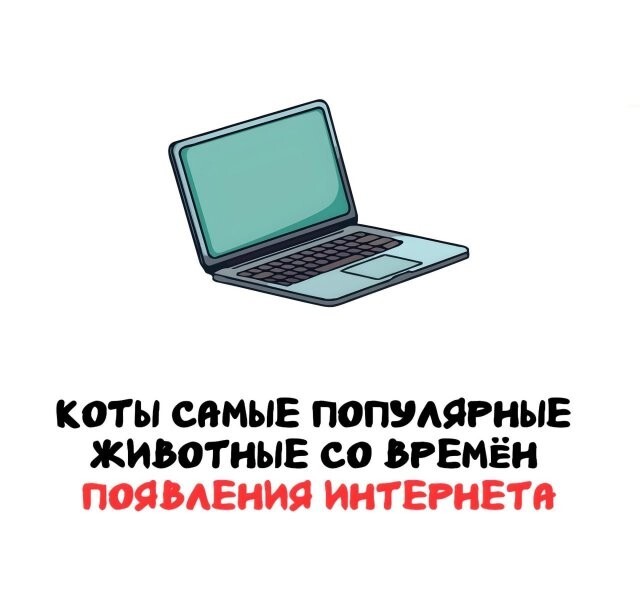 А вдруг ты не знал…