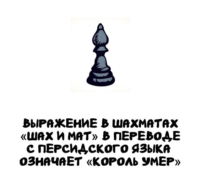 А вдруг ты не знал…