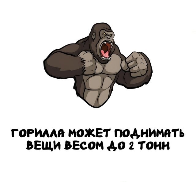 А вдруг ты не знал…