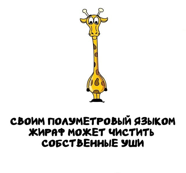 А вдруг ты не знал…