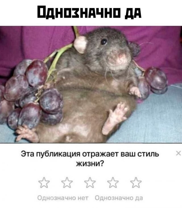 Намешалось