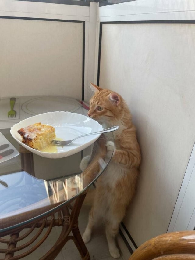 Намешалось
