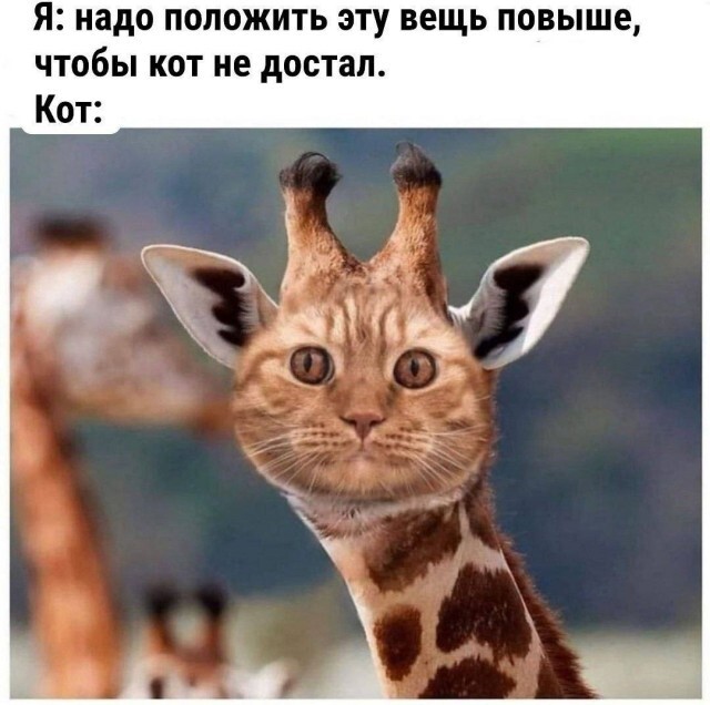 Не ищите здесь смысл. Здесь в основном маразм