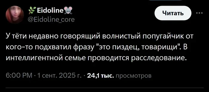 Не ищите здесь смысл. Здесь в основном маразм