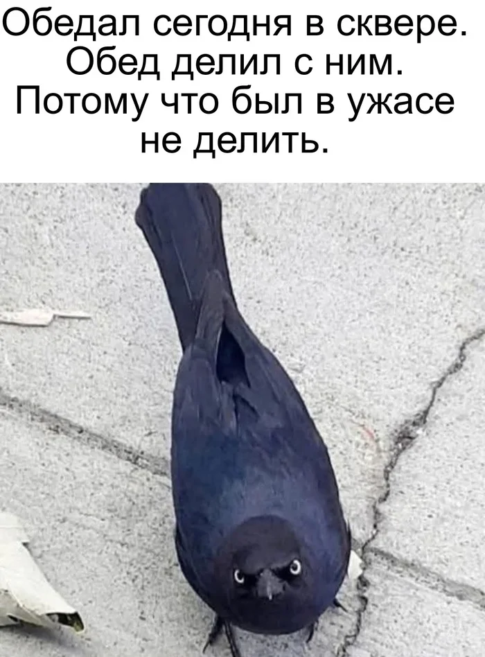 Не ищите здесь смысл. Здесь в основном маразм