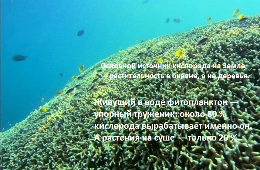 Всякие интересности