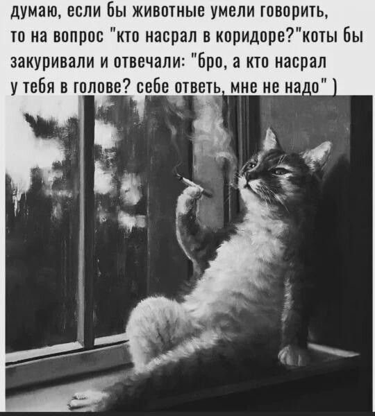 Всё вразнобой 