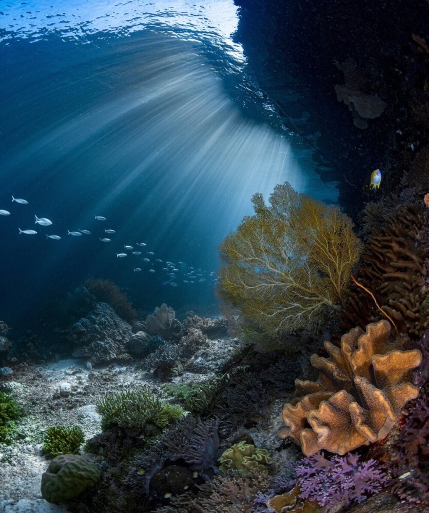 11. Индонезийский морской пейзаж